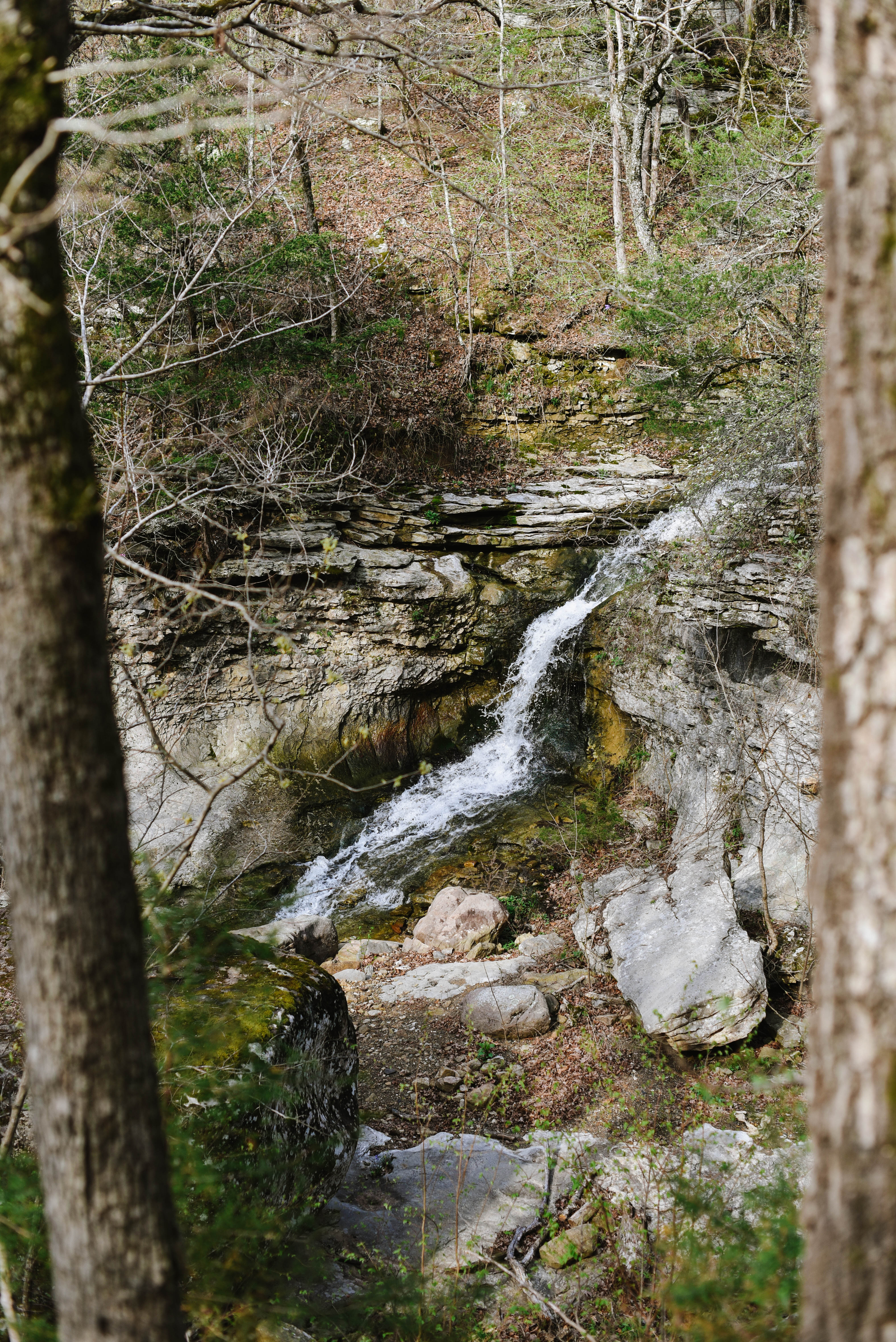 Paige Falls and Broadwater Hollow Falls