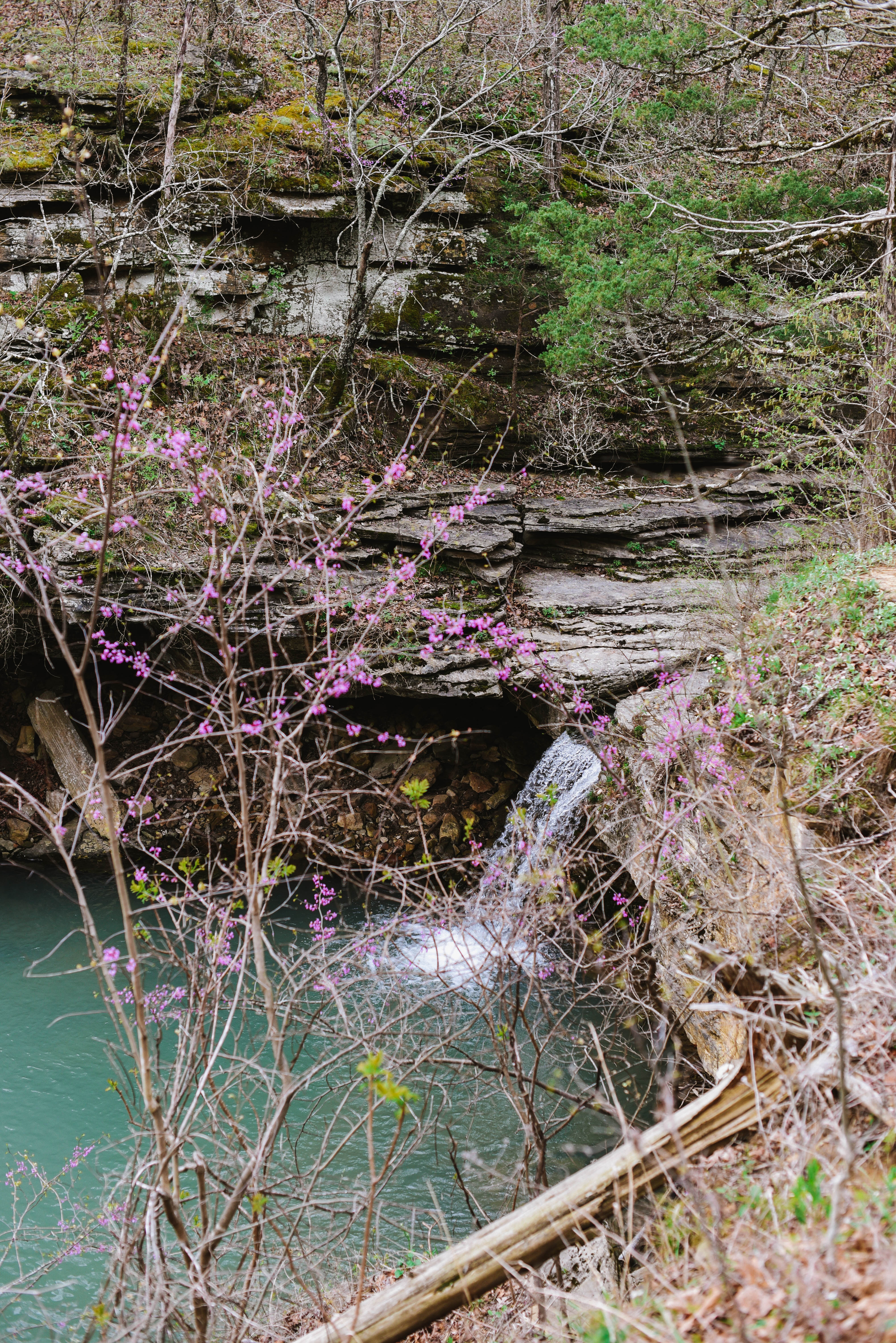 Paige Falls and Broadwater Hollow Falls