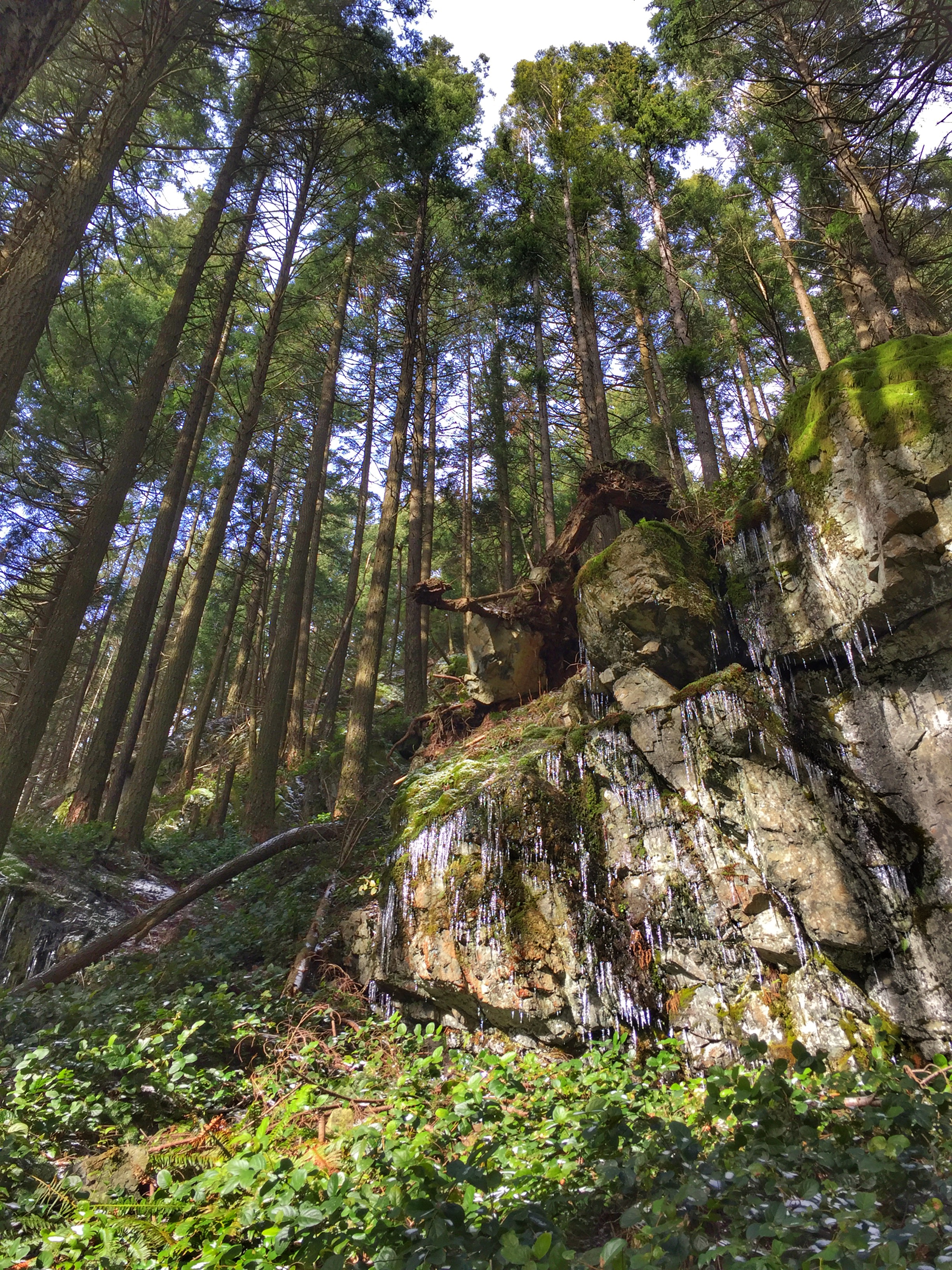 Hike Mount Gardner on Bowen Island