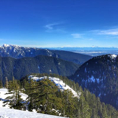 Snowshoeing on Grouse Mountain in Vancouver: Snowshoe Grind and Thunderbird Ridge