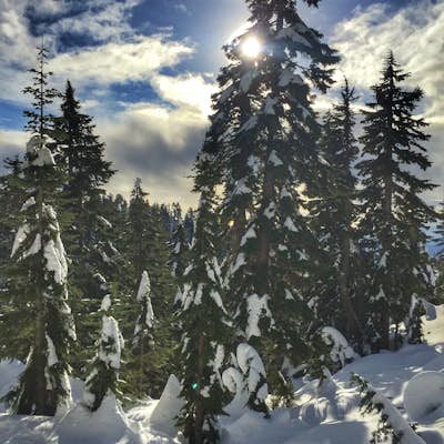 Snowshoeing on Grouse Mountain in Vancouver: Snowshoe Grind and Thunderbird Ridge