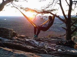 High Strung: Why You Need a Hammock in Your Life