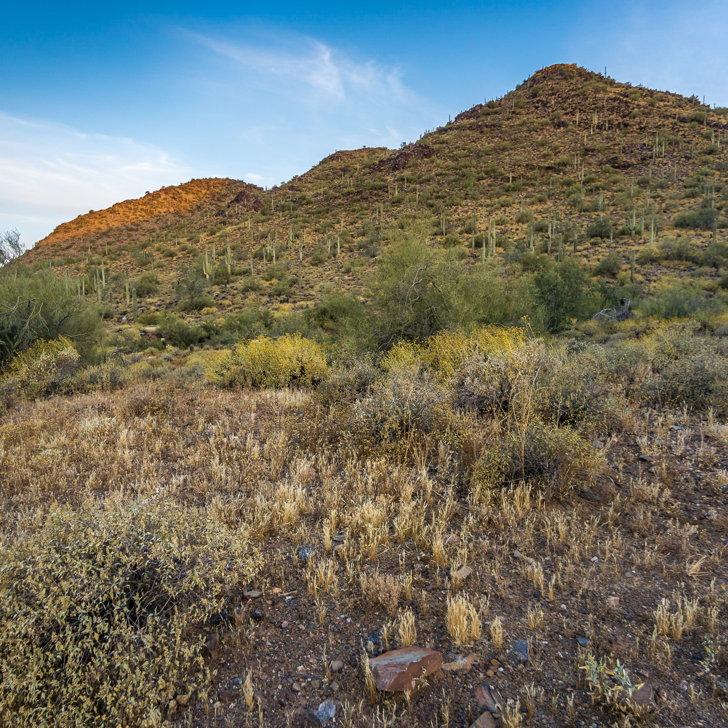 Hike the Go John Trail