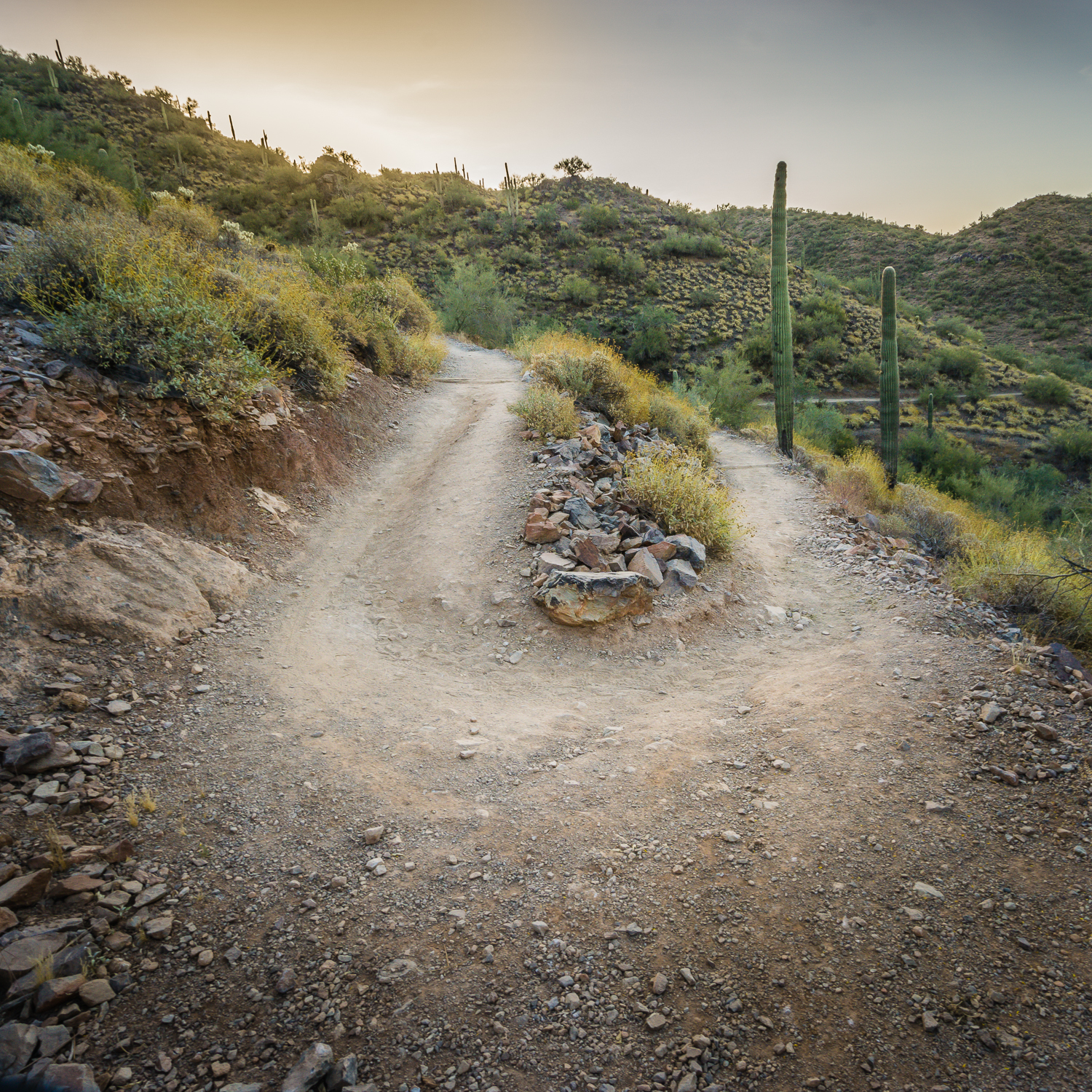 Hike the Go John Trail