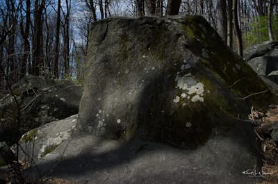 Hike to Devil’s Half-Acre Boulders in the Sourland Mountain Preserve