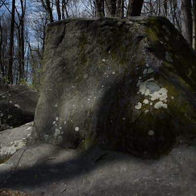 Hike to Devil’s Half-Acre Boulders in the Sourland Mountain Preserve