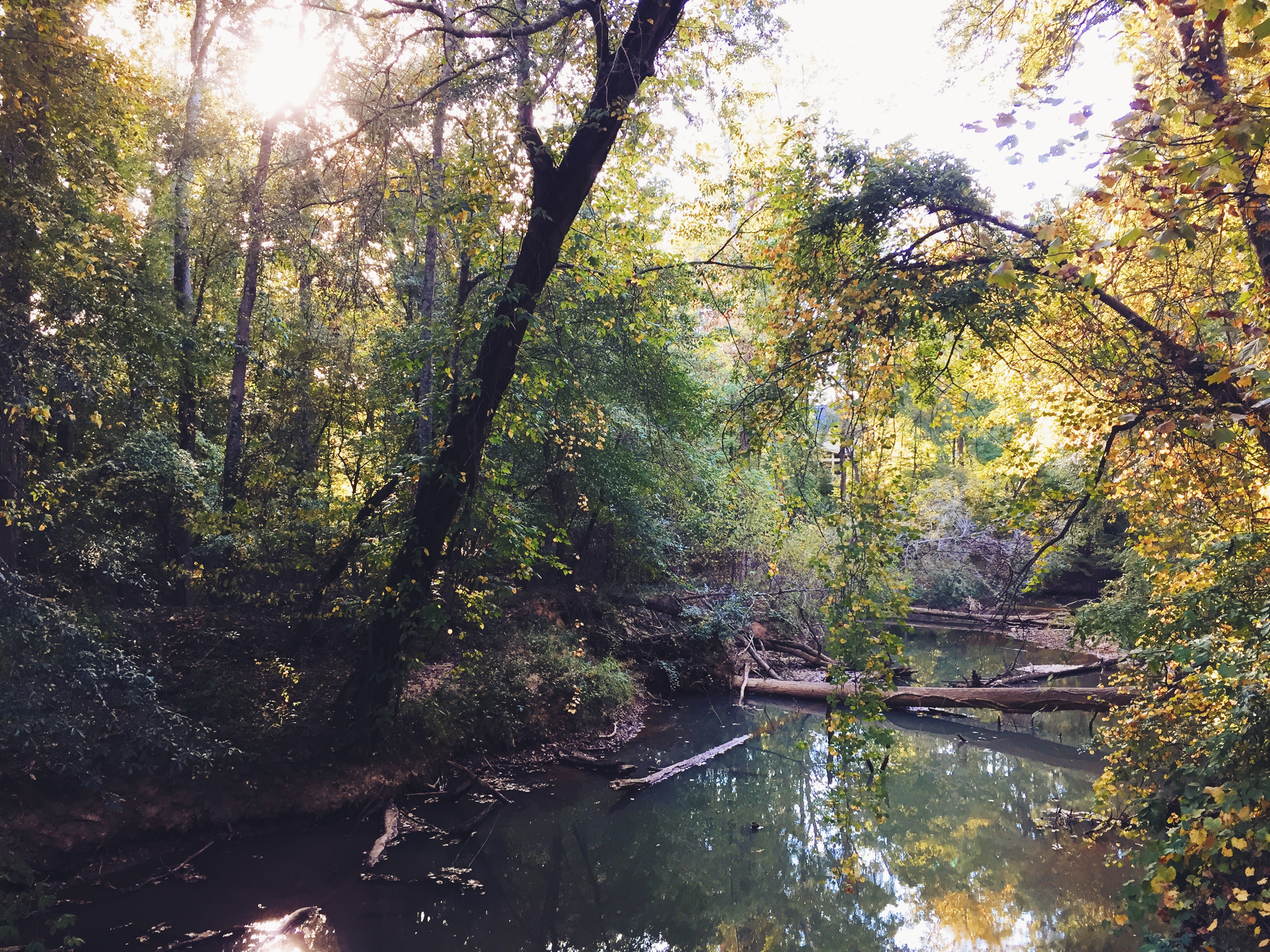 Big Creek Greenway