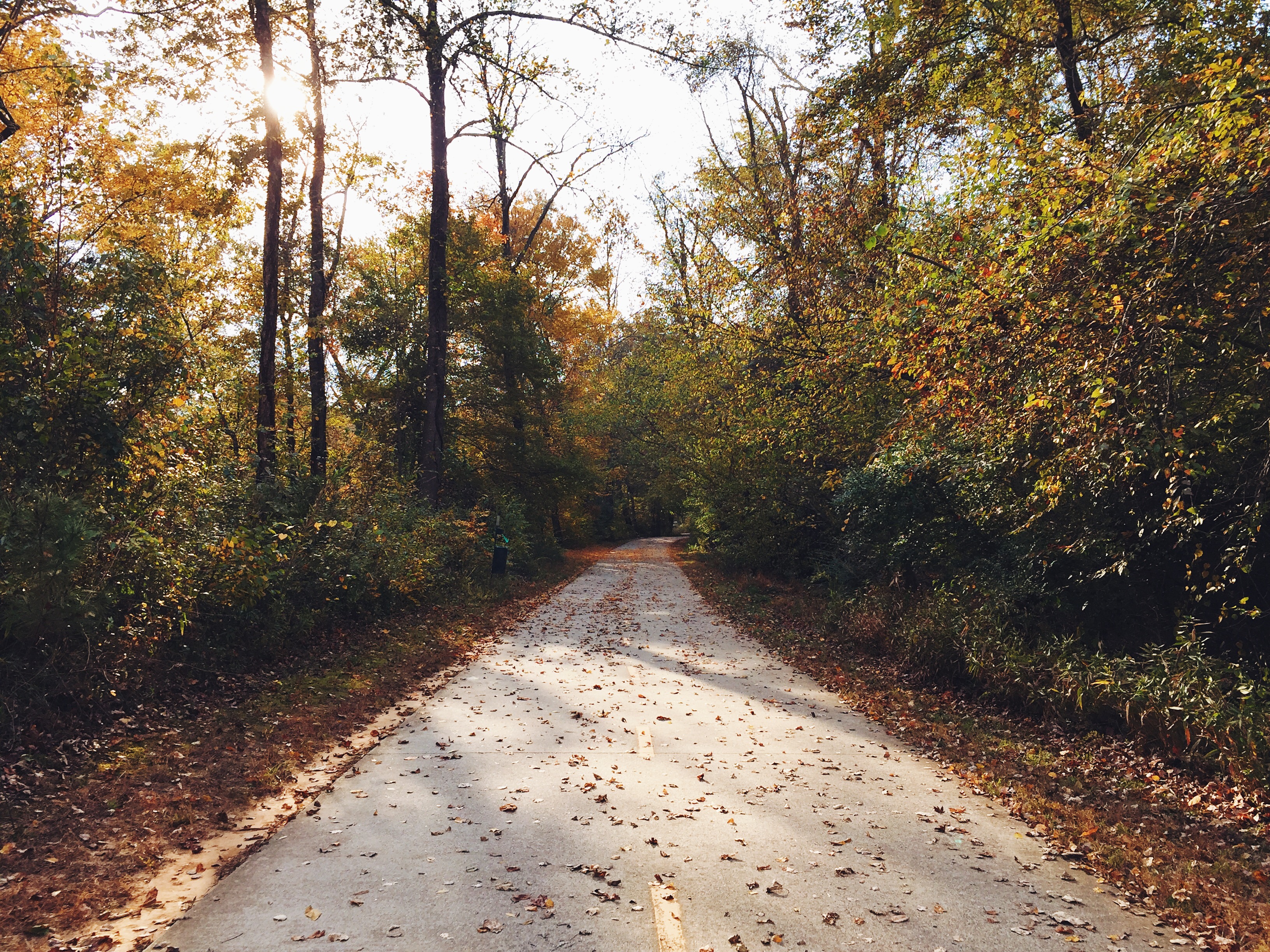 Big Creek Greenway