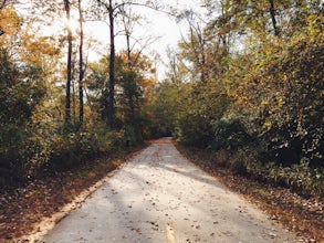 Bike or Run the Big Creek Greenway