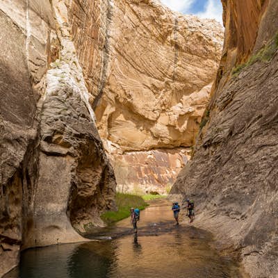 Backpack Death Hollow in Grand Staircase-Escalante