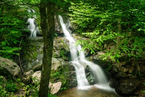 Three Falls Hike