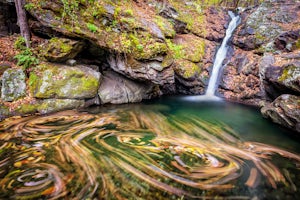 Hike Cedar Run Falls Trail