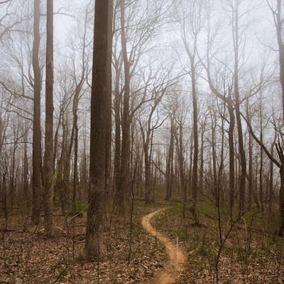 Appalachian Trail from Blood Mountain to Cowrock Mountain