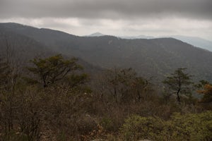 Appalachian Trail from Blood Mountain to Cowrock Mountain