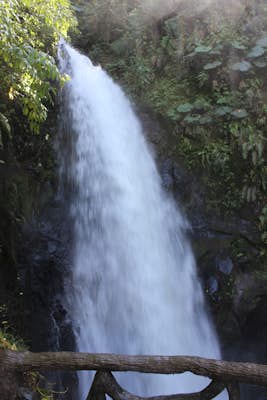 Visit La Paz Waterfalls