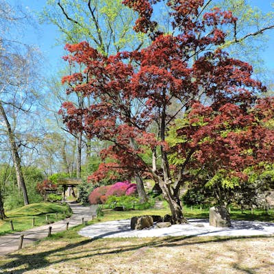 Take a Stroll around Maymont Park