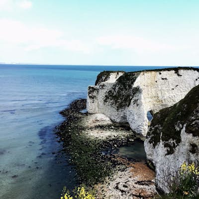 Walk up to Old Harry Rocks