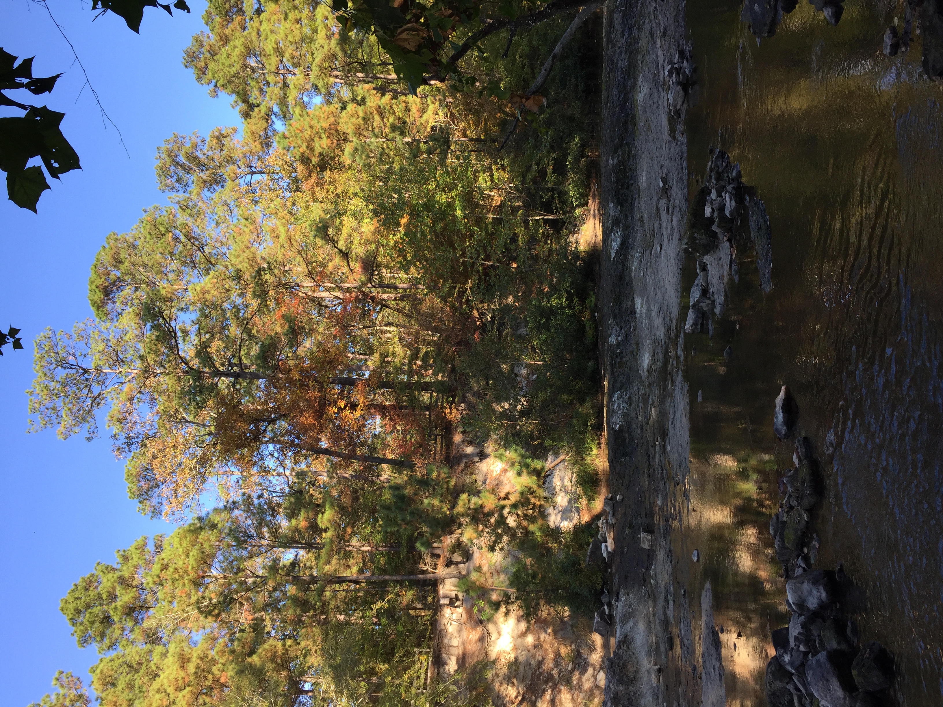 Camp at Kisatchie Bayou Campground