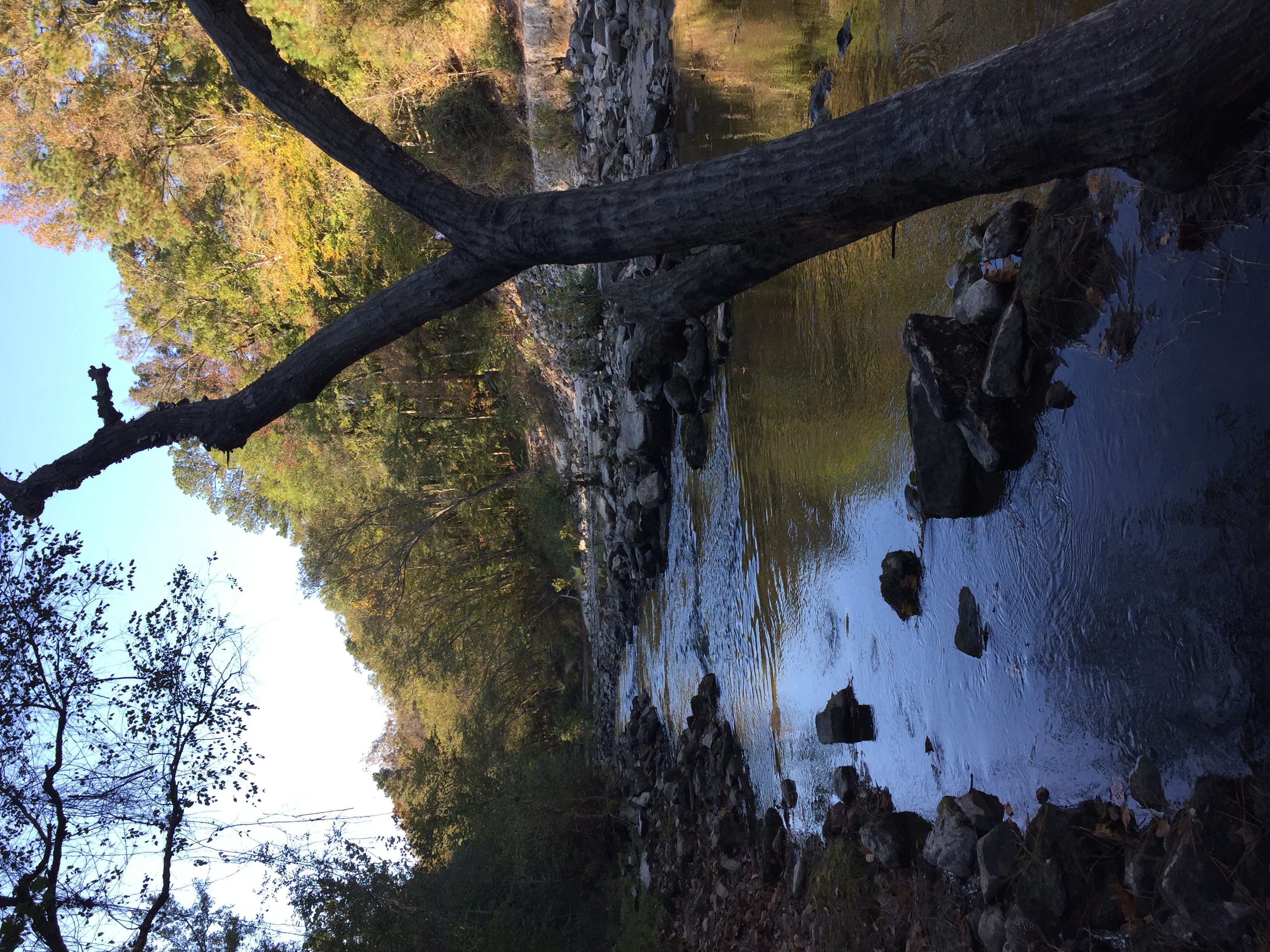 Camp at Kisatchie Bayou Campground, Provencal, Louisiana