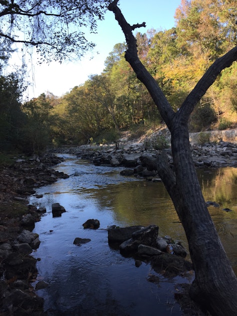 Camp at Kisatchie Bayou Campground, Provencal, Louisiana