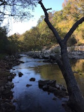 Camp at Kisatchie Bayou Campground