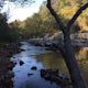 Camp at Kisatchie Bayou Campground