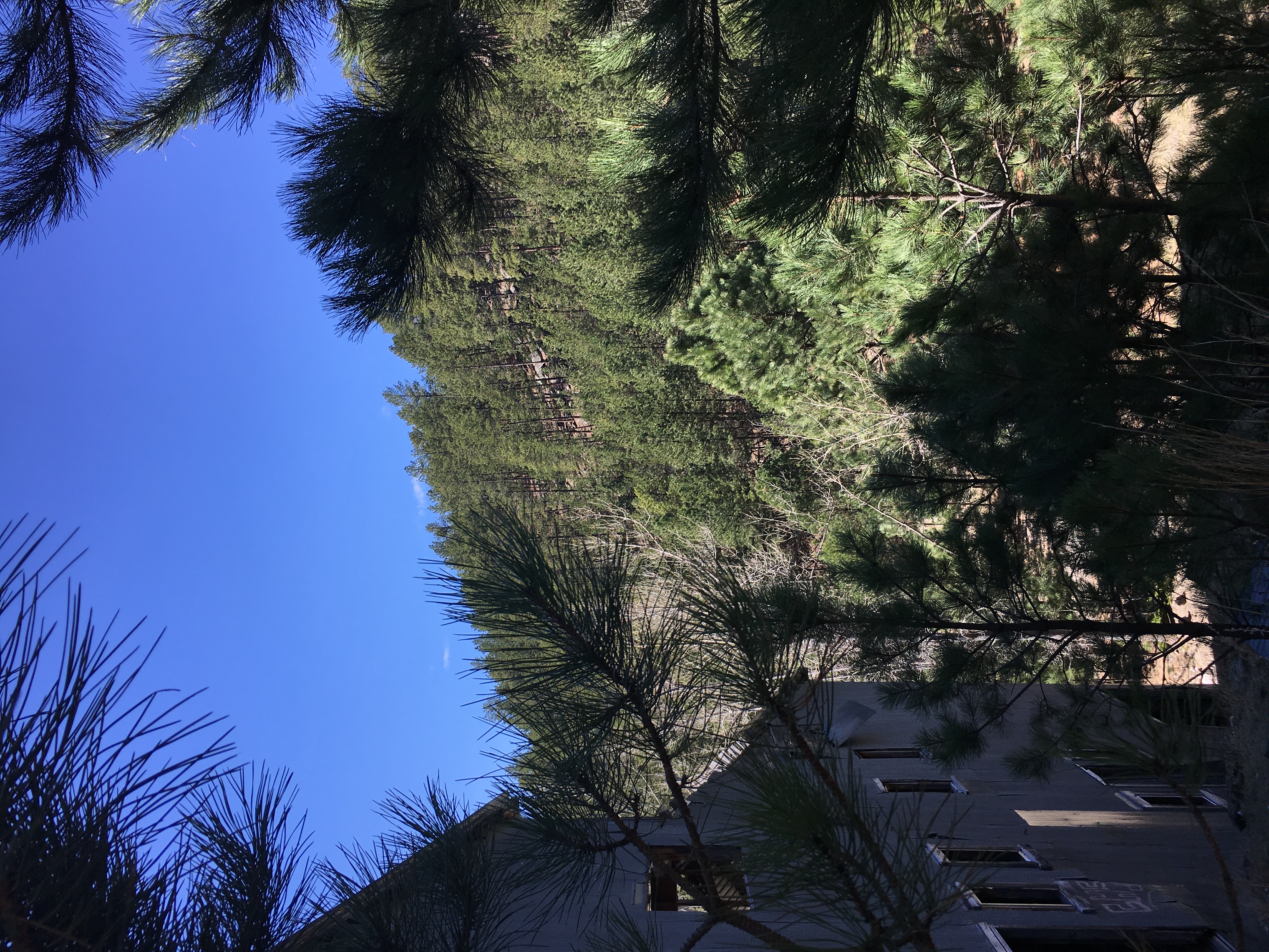 Hike to Ingersoll Abandoned Mine