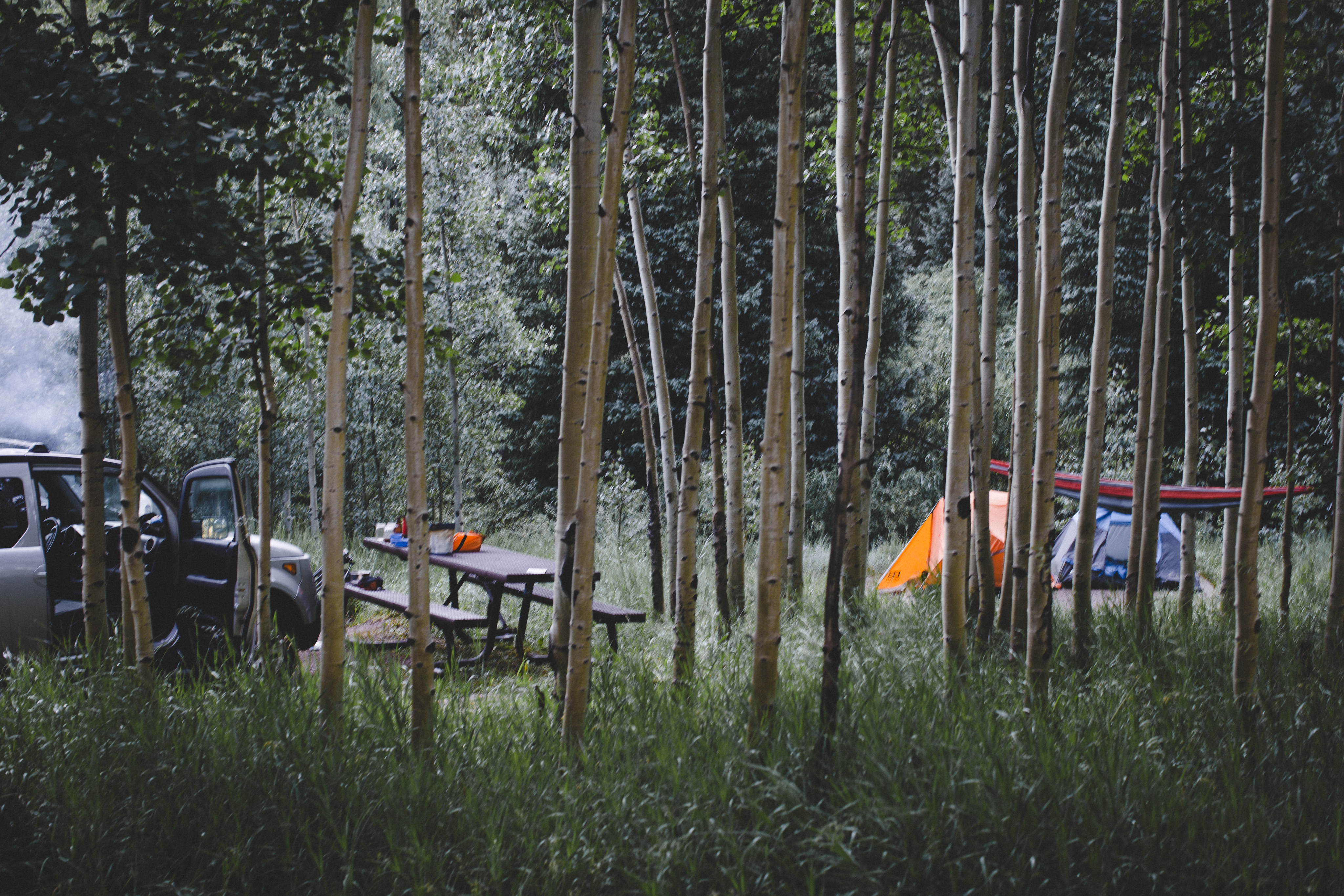 Camp at Silver Queen Campground