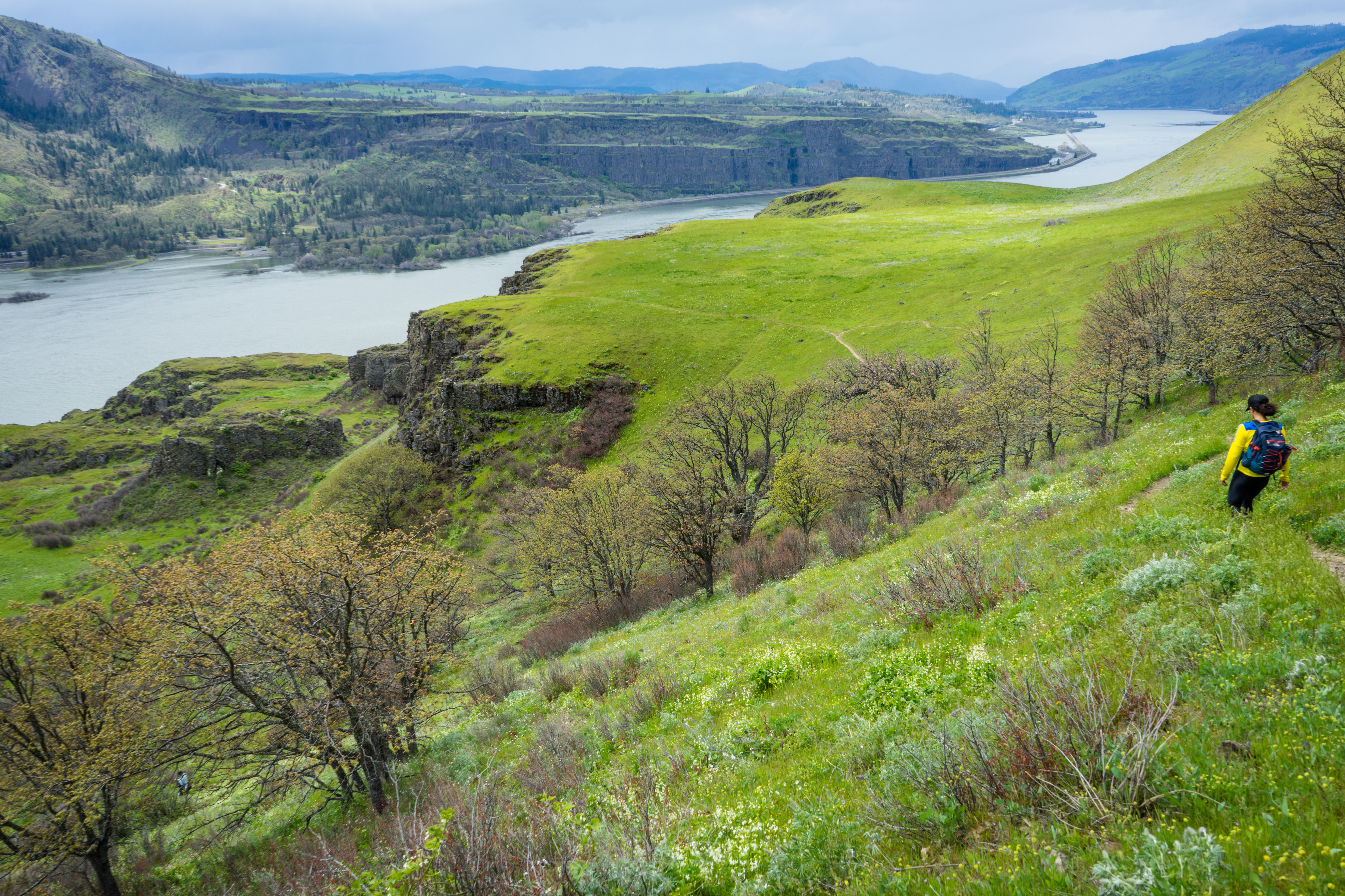 Hike Lyle Cherry Orchard, Lyle, Washington