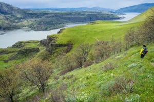 Hike Lyle Cherry Orchard