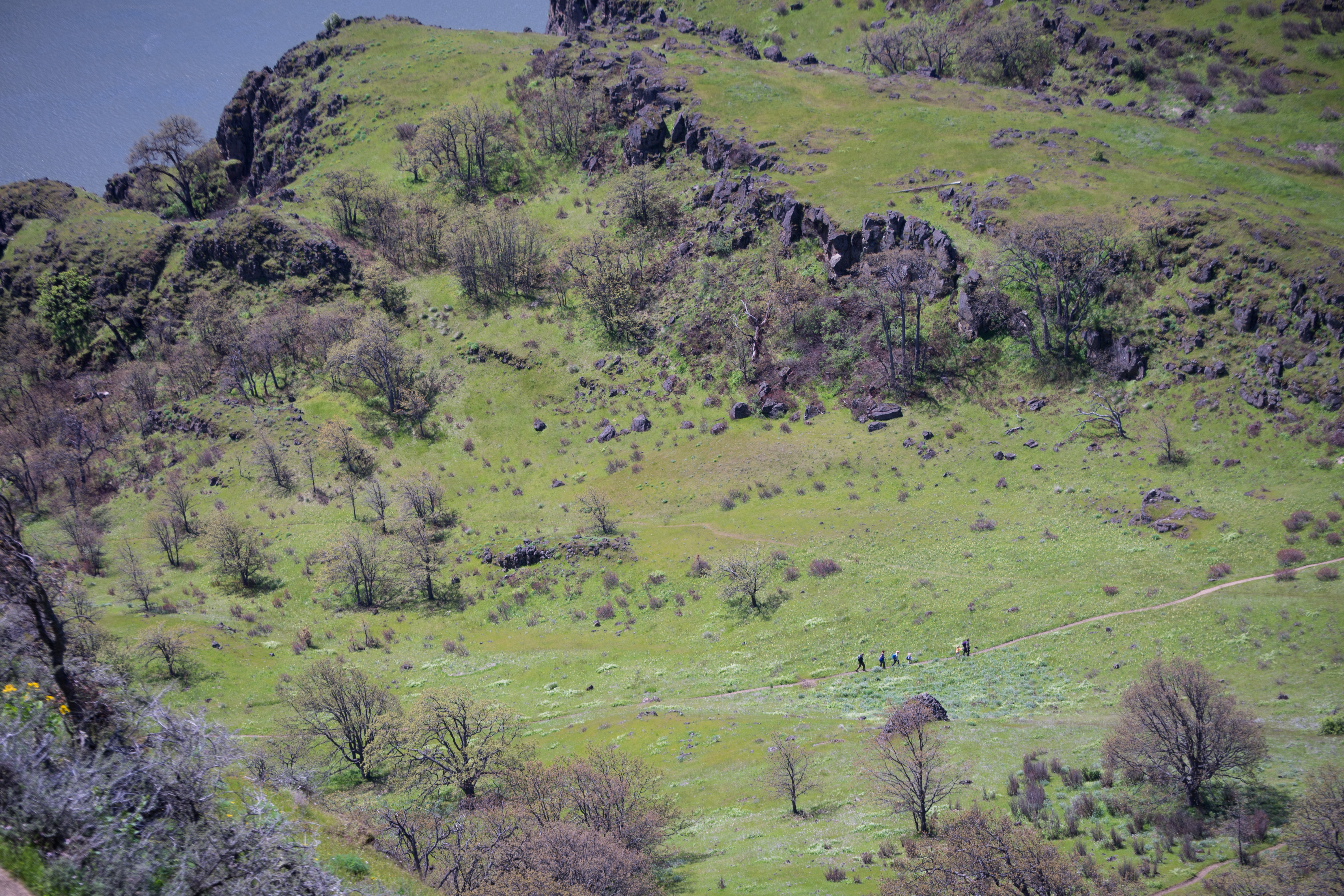 Hike Lyle Cherry Orchard