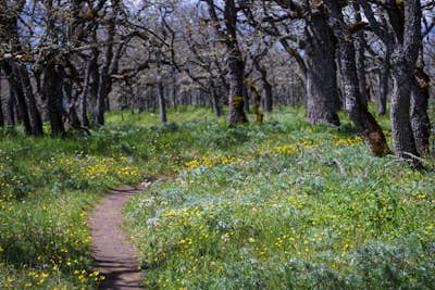 Hike Lyle Cherry Orchard
