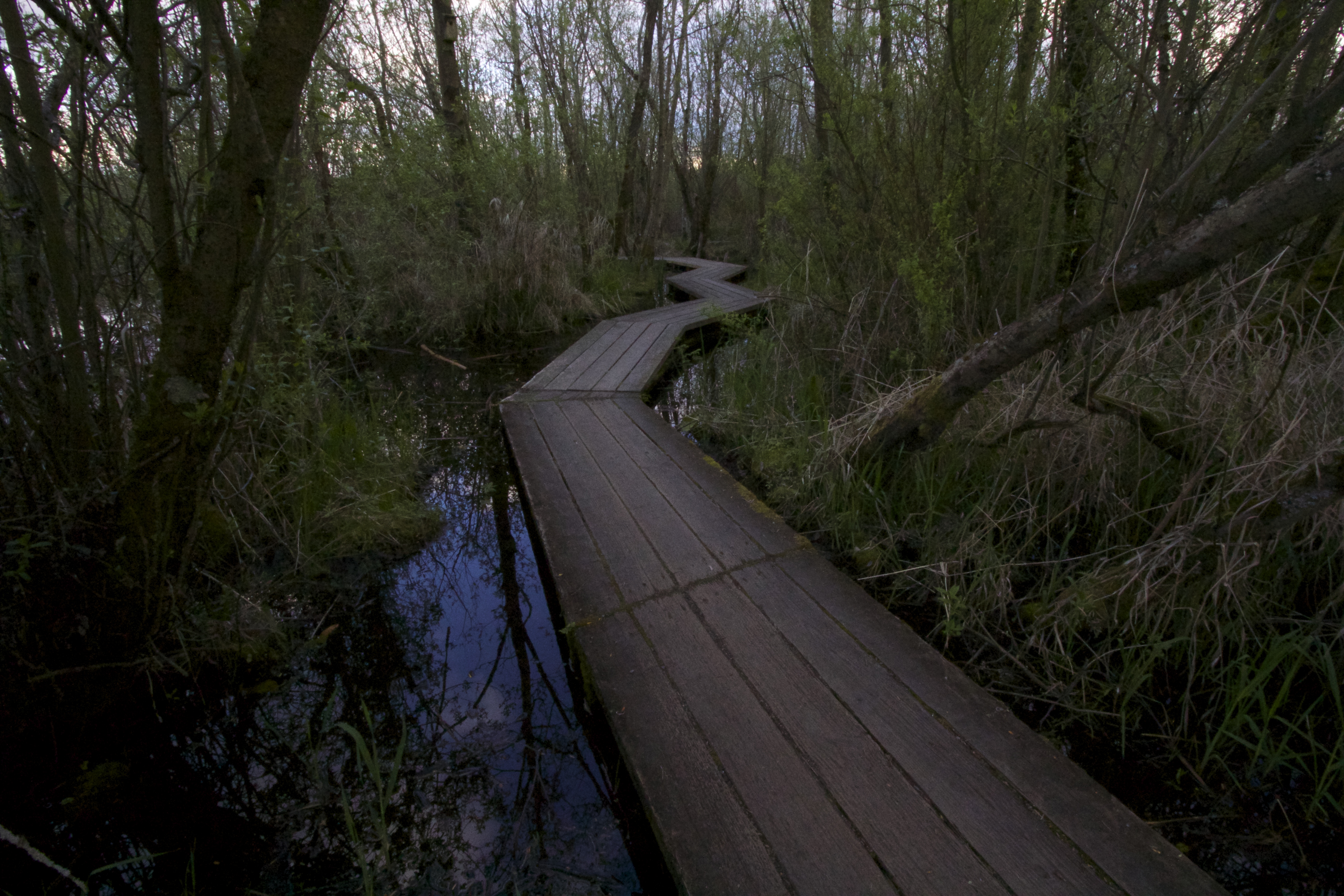 Take a Stroll through Hovander Homestead Park