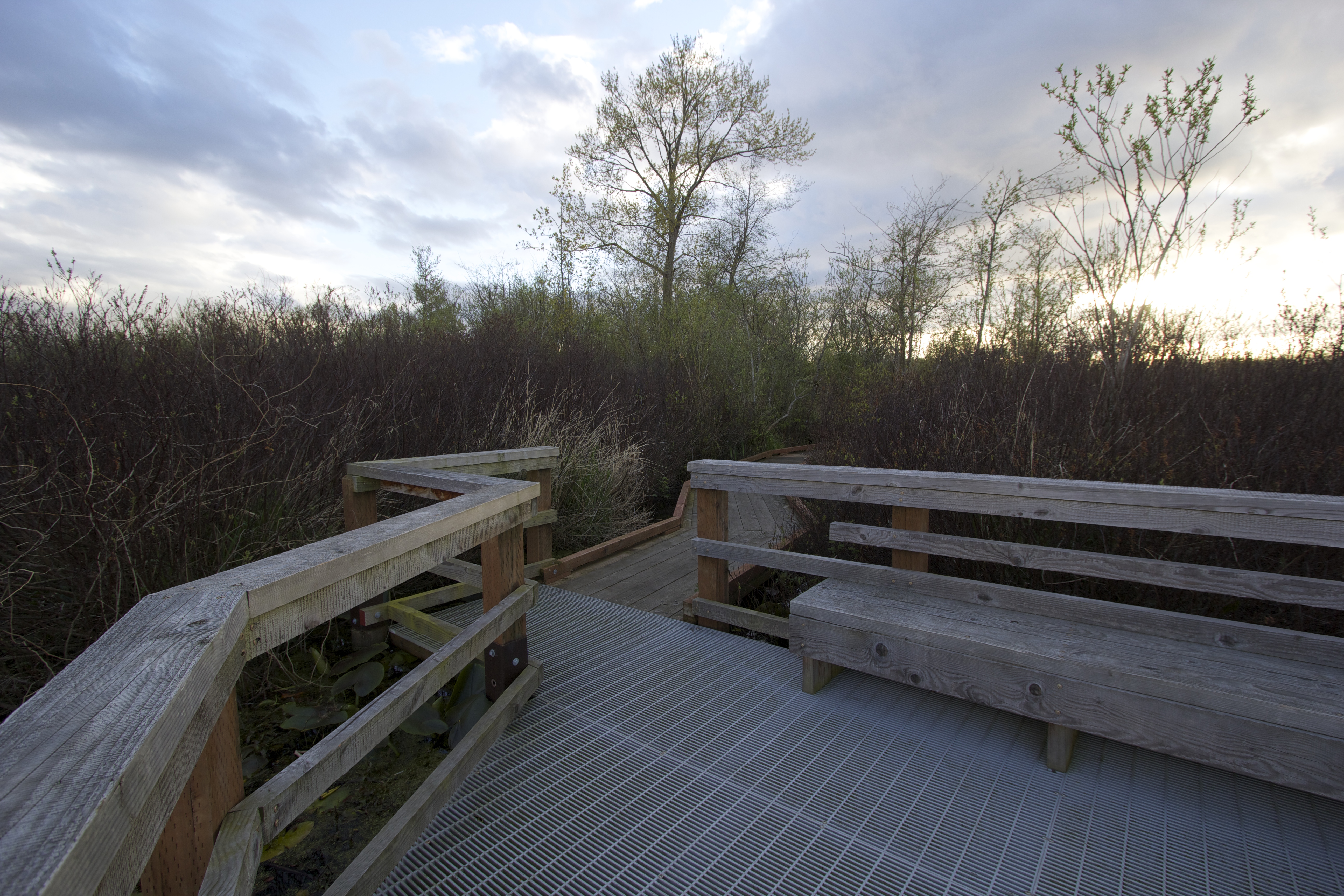 Take a Stroll through Hovander Homestead Park