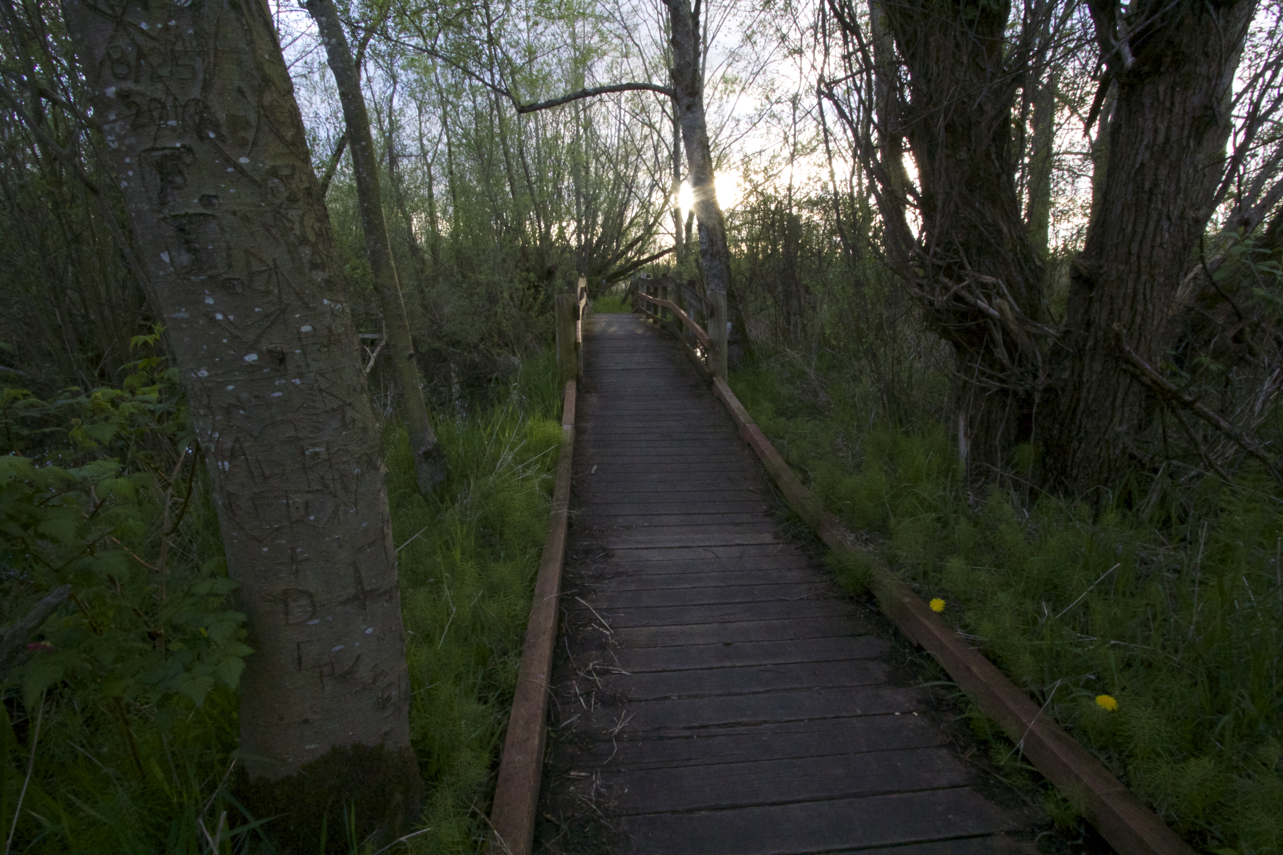 Take a Stroll through Hovander Homestead Park