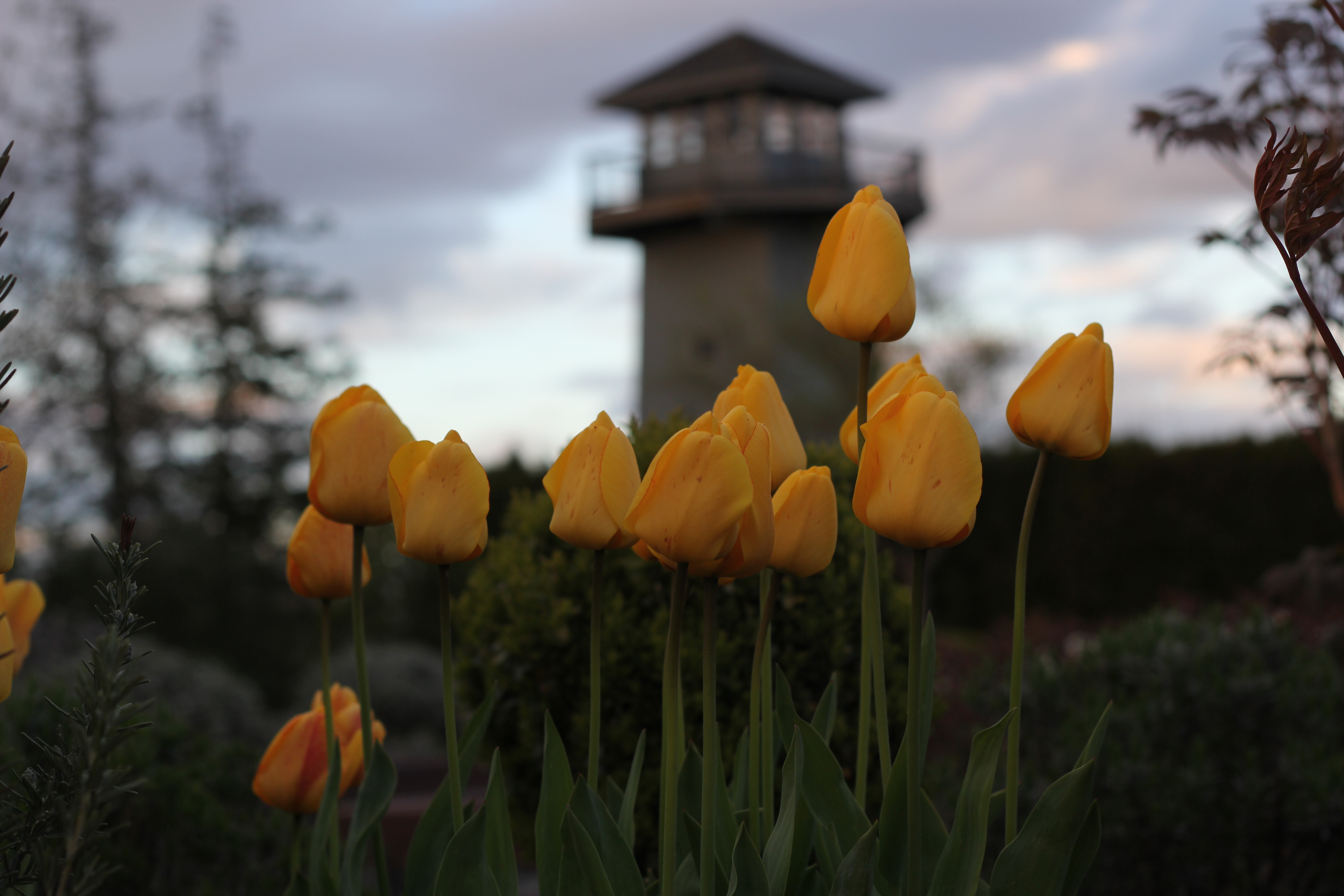 Take a Stroll through Hovander Homestead Park