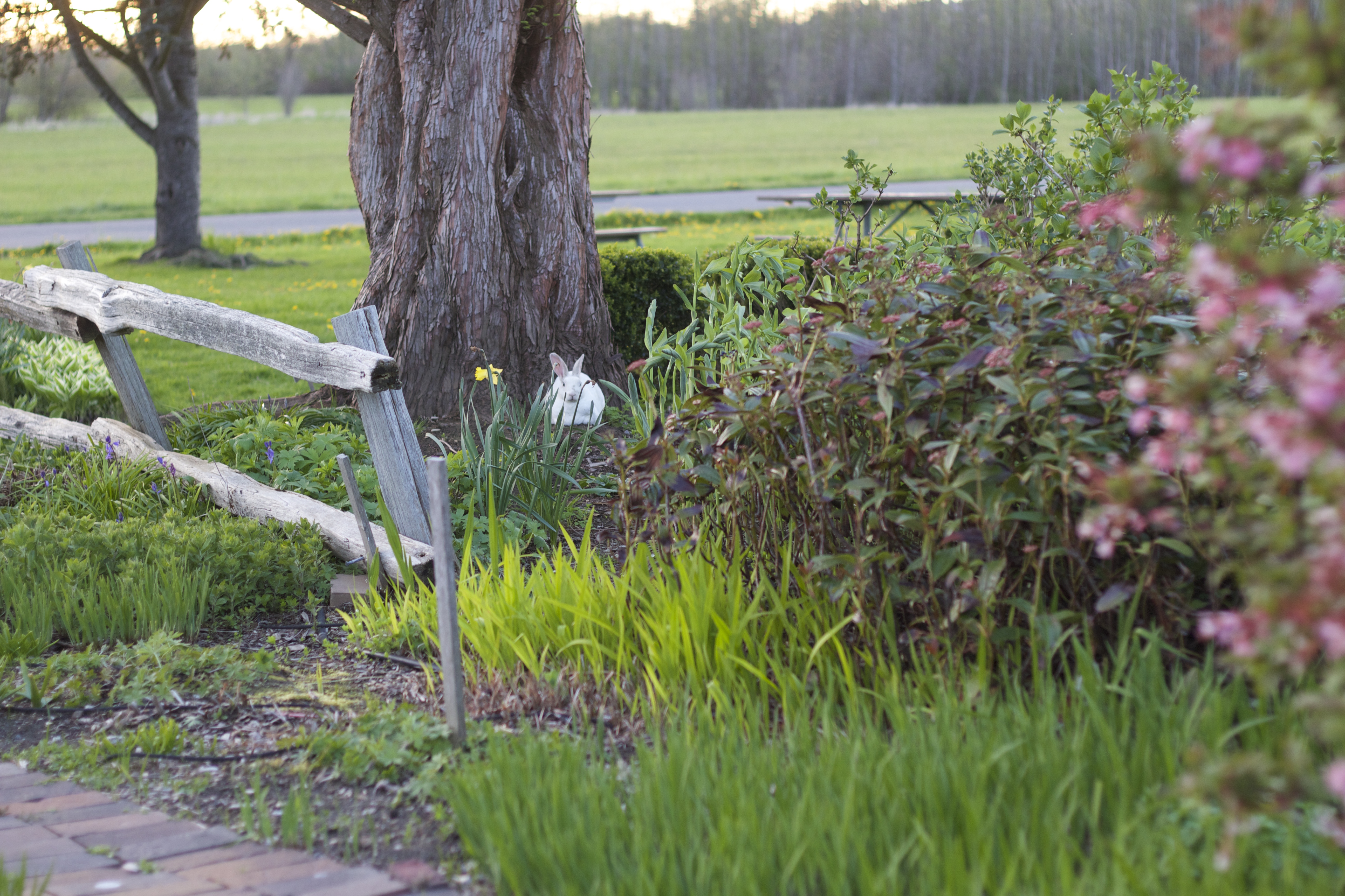 Take a Stroll through Hovander Homestead Park