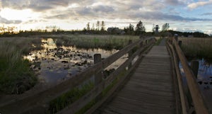 Take a Stroll through Hovander Homestead Park