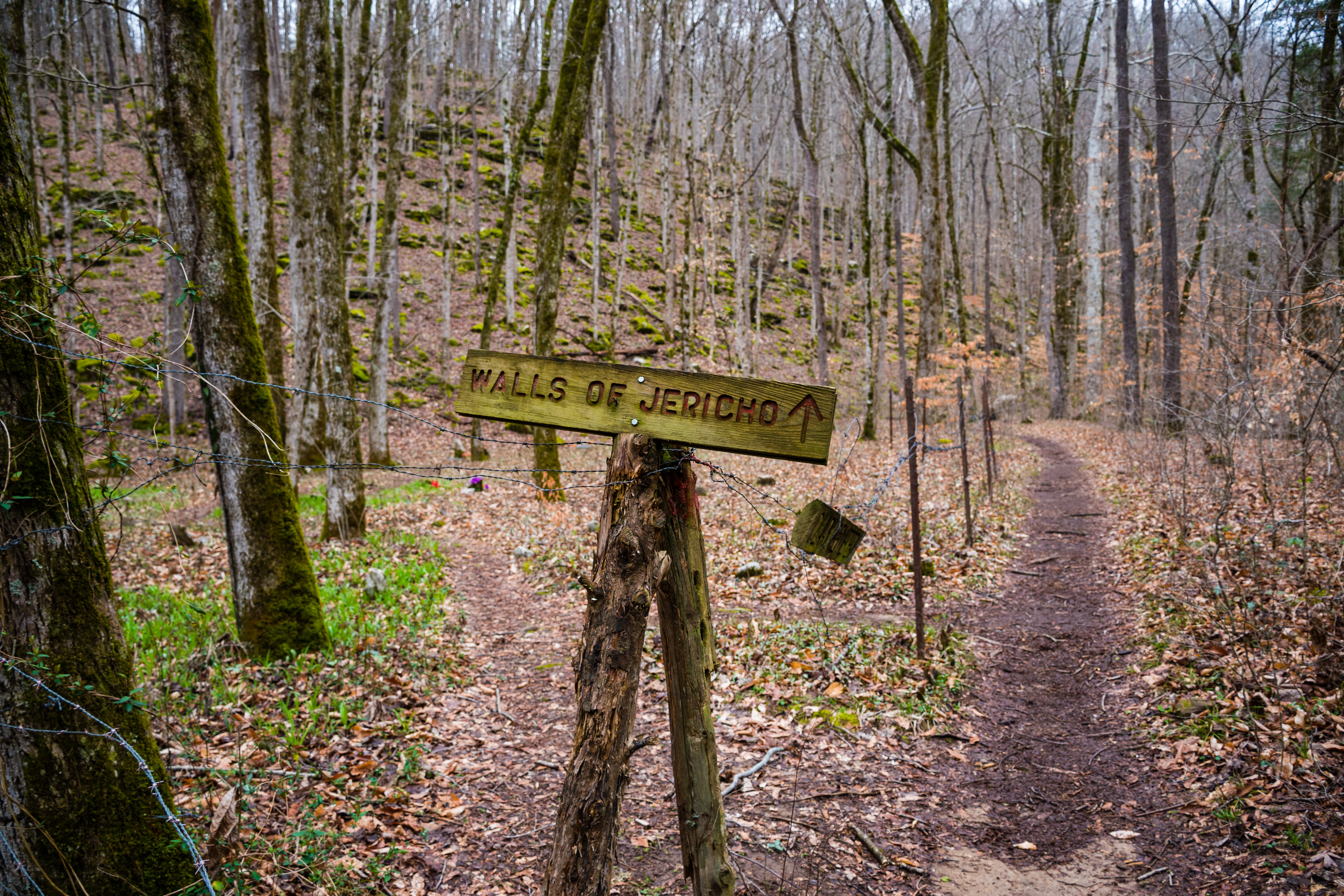 Walls of Jericho via Alabama Trailhead