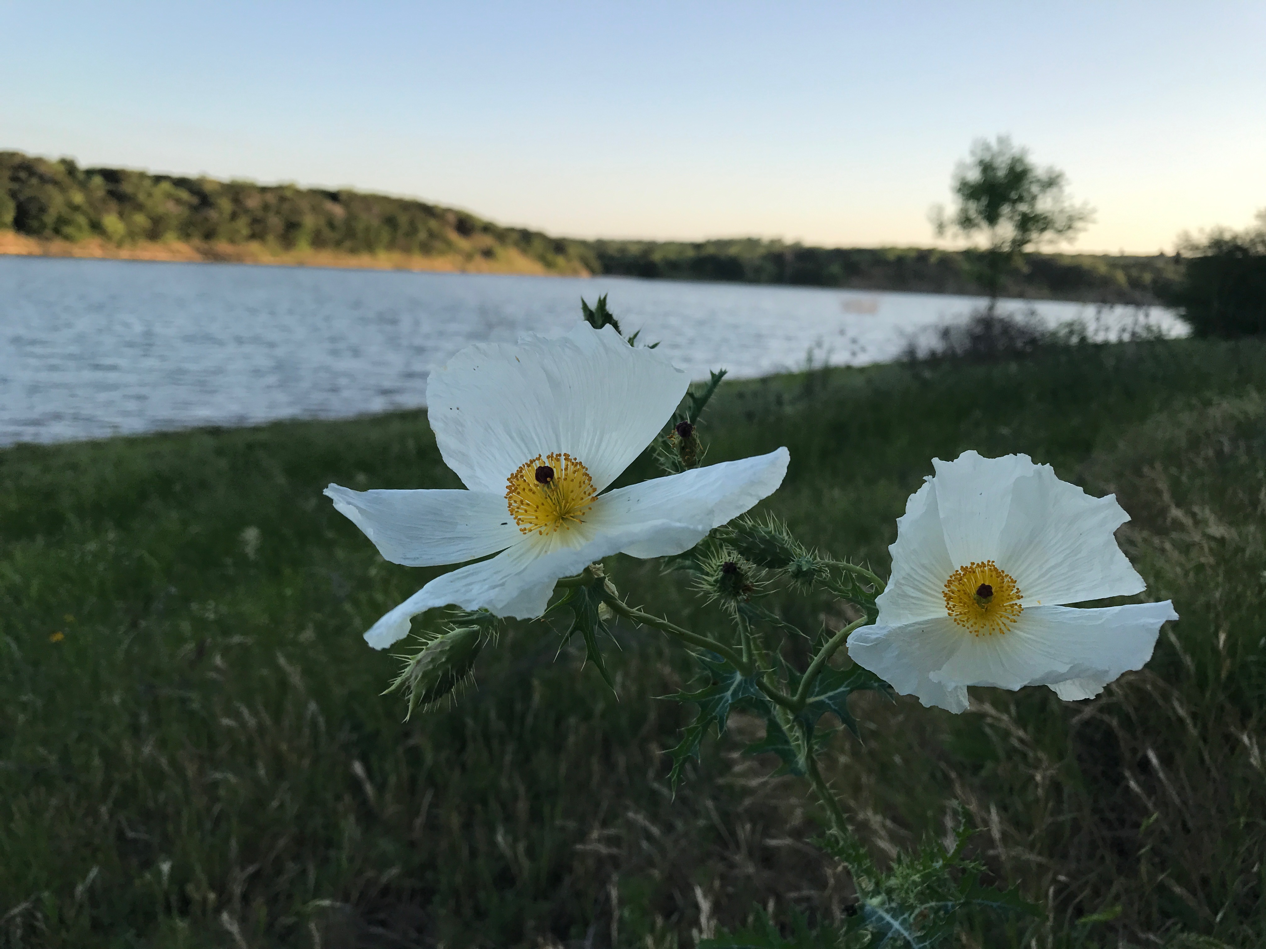 Camp at Shaffer Bend Recreation Area