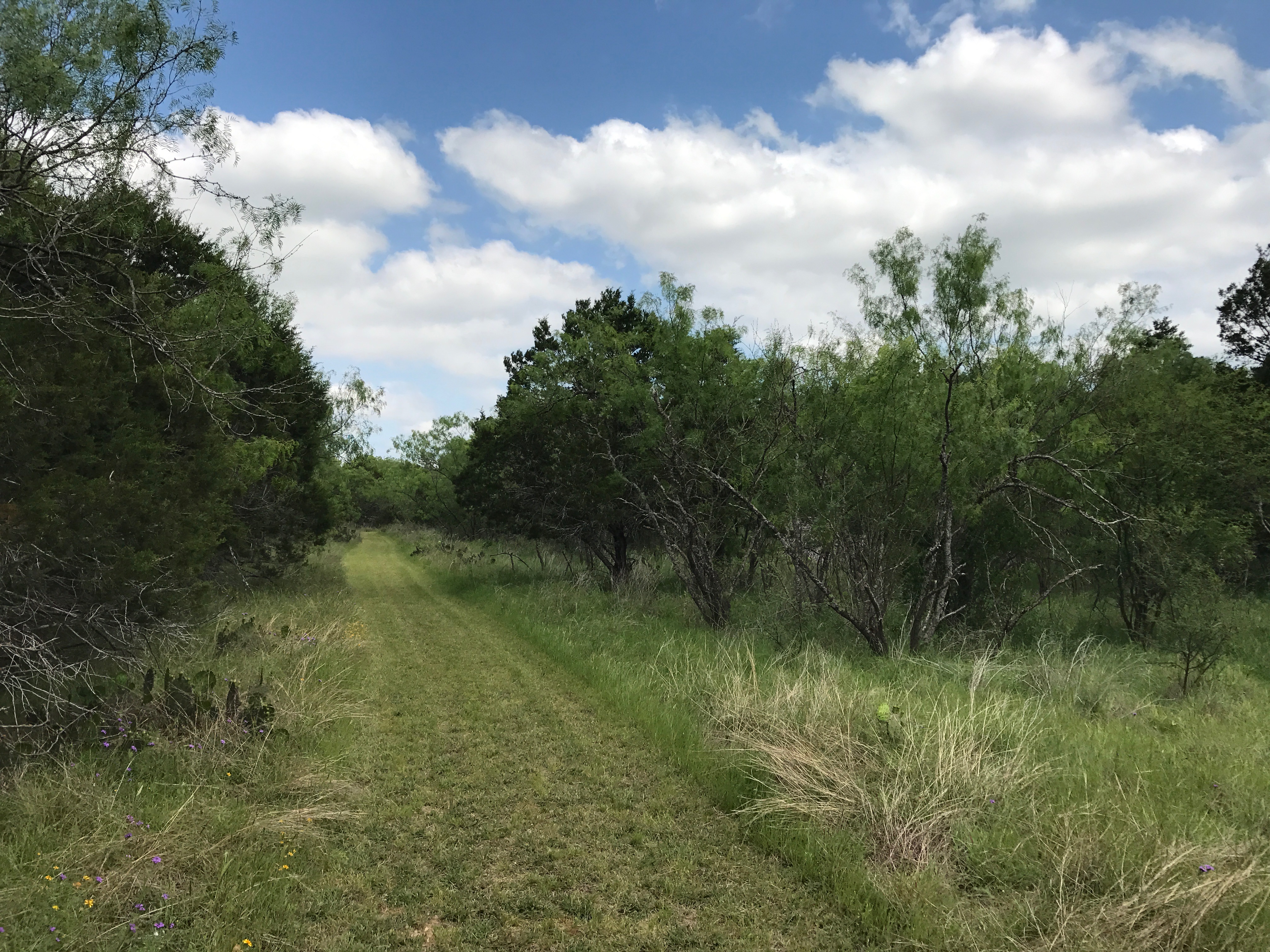Camp at Shaffer Bend Recreation Area