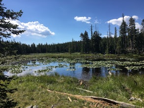 Backpack to Willow Lake in the Cloud Peak Wilderness