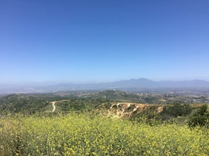 Top of the World via West Ridge Trail