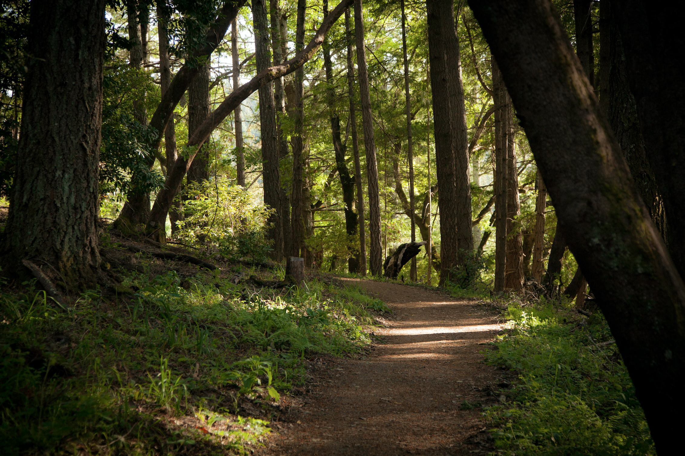 Meadow & Bear Gulch Loop