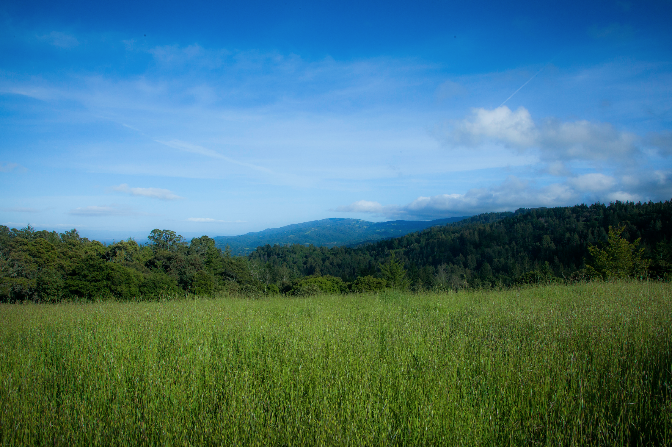 Meadow & Bear Gulch Loop
