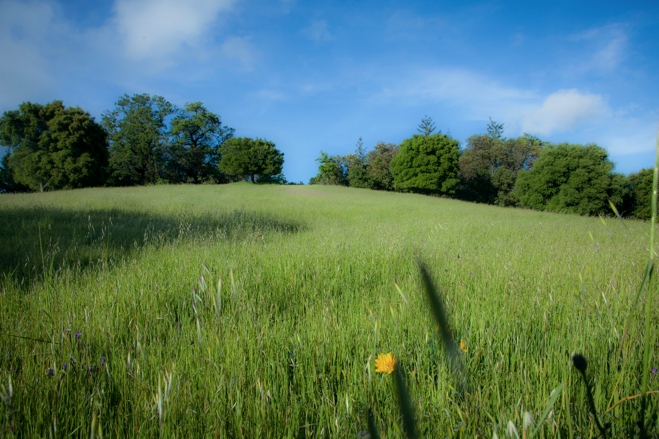 Meadow & Bear Gulch Loop
