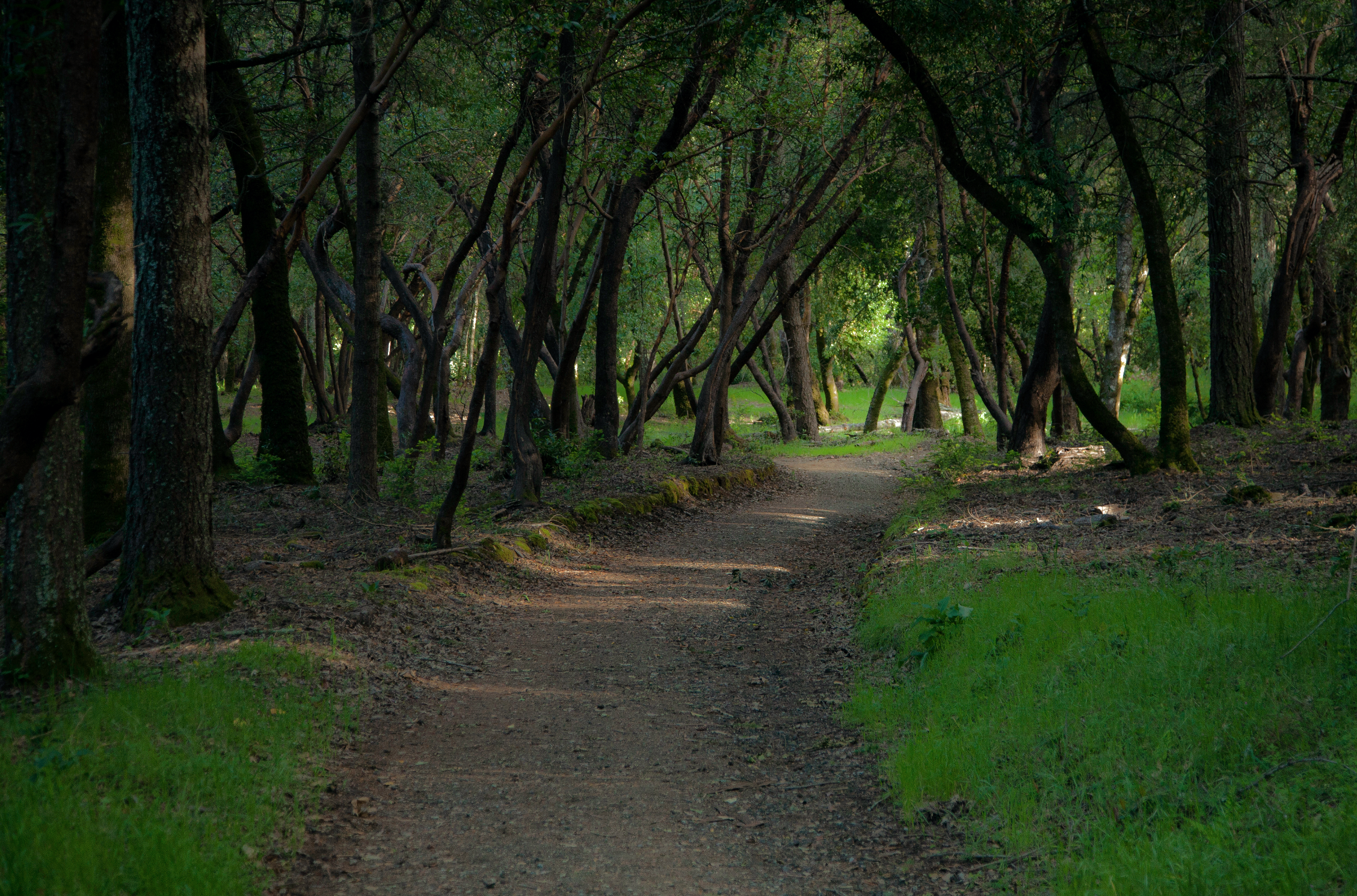 Meadow & Bear Gulch Loop
