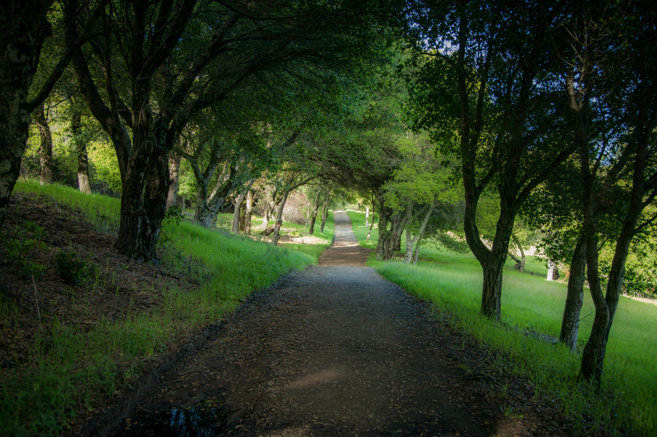 Meadow & Bear Gulch Loop