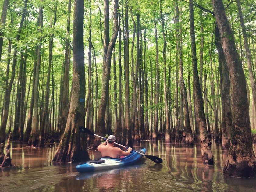 Float The Scenic Ghost Section of the Wolf River, Moscow, Tennessee