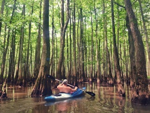 Float The Scenic Ghost Section of the Wolf River